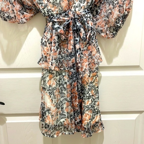 She & Sky V-Neck Coral and Gray Leopard Print Dress - Picture 4 of 8